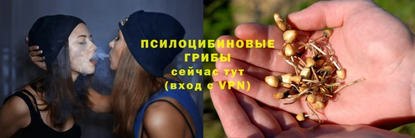 спиды Няндома