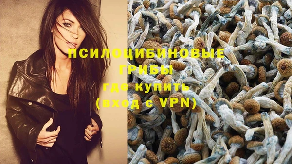спиды Няндома