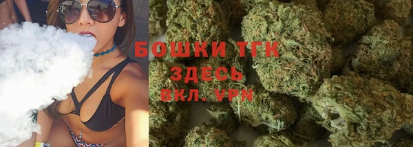 гидра Нязепетровск