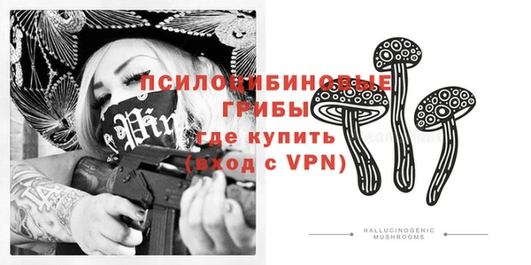 спиды Няндома