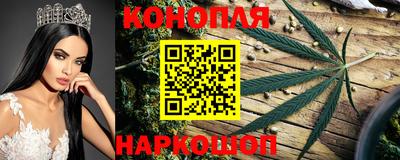 СК Гусев
