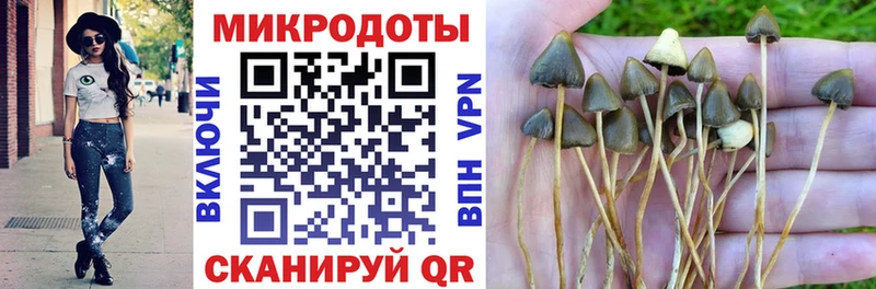 Галлюциногенные грибы Psilocybine cubensis Знаменск