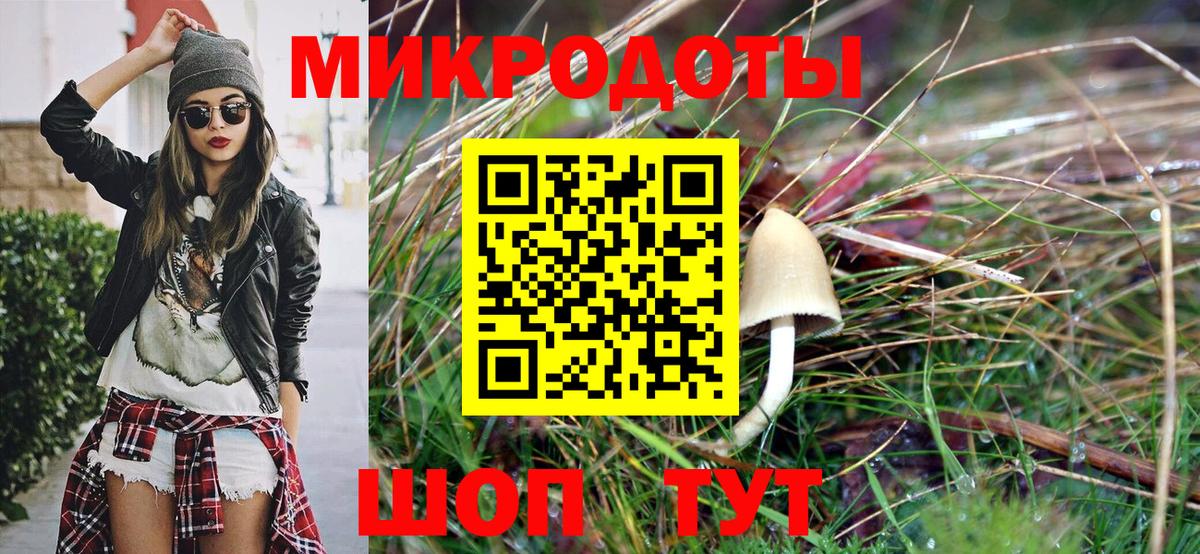 Знаменск  Псилоцибиновые грибы Cubensis  Вход с VPN  что такое   Галлюциногенные грибы мухоморы 