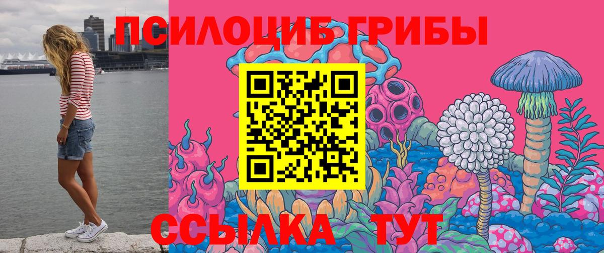 Псилоцибиновые грибы мухоморы Знаменск