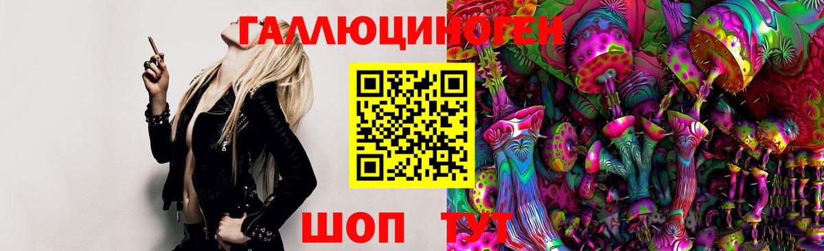 Псилоцибиновые грибы Cubensis  Галлюциногенные грибы мицелий  Знаменск 